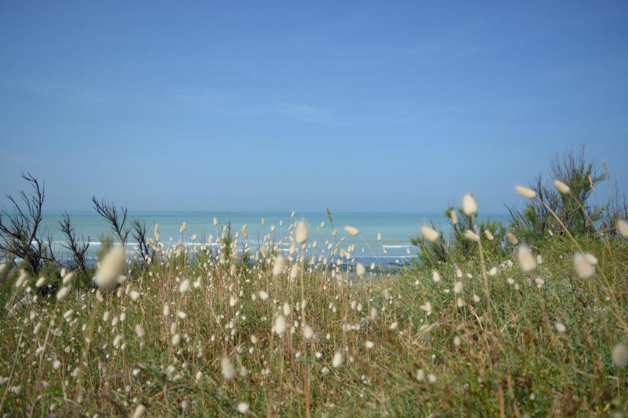 Ravissante En Bord De Aux Grenettes